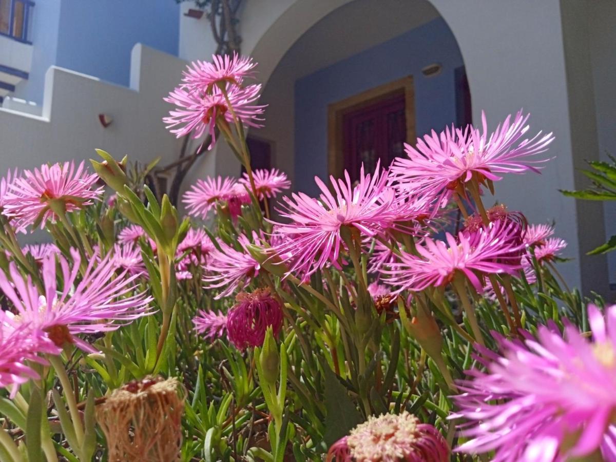 Nefeli Hotel Leros Agia Marina  Exterior foto